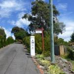 Protea Hill - Sunshine Coast Guide 0