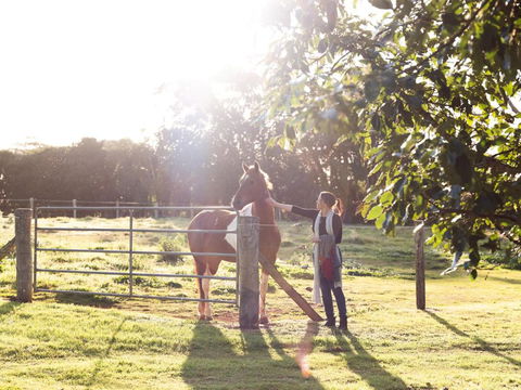 Bridle Guesthouse - Sunshine Coast Guide 6