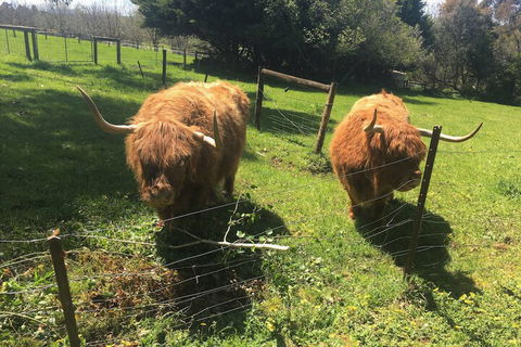 Neerim Country Cottages - Sunshine Coast Guide 2