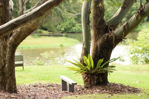 McCarthy Lake House - Sunshine Coast Guide 4