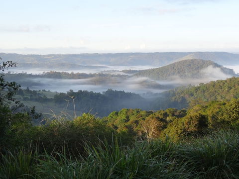 Maleny Luxury Cottages - Sunshine Coast Guide 5