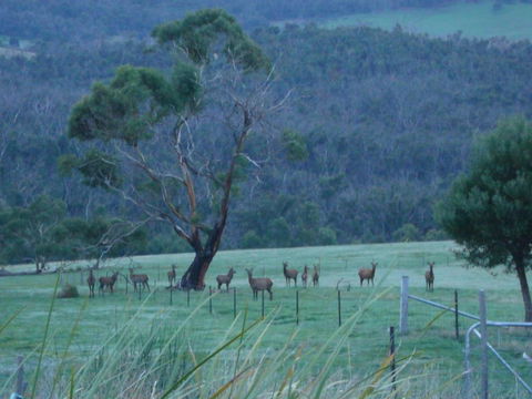 Hawksview At Mafeking - Sunshine Coast Guide 3