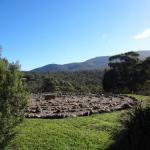 Mafeking ACT Sunshine Coast Guide