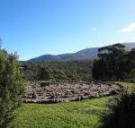 Hawksview at Mafeking - Sunshine Coast Guide