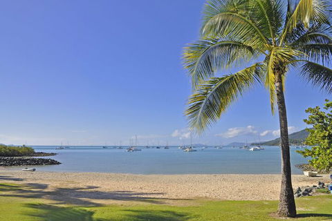 Colonial Court Beachfront Motel And Holiday Stay - Sunshine Coast Guide 5