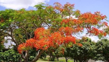 Chatsworth QLD Sunshine Coast Guide