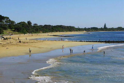 Roseneath Villa B & B - Sunshine Coast Guide 5