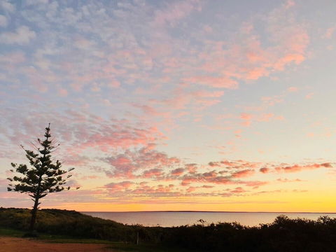 Highway One Ceduna - Sunshine Coast Guide 0
