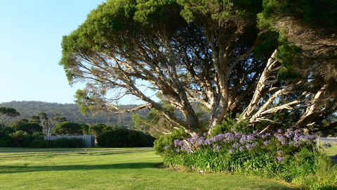 Spring Bay Villas - Sunshine Coast Guide 5