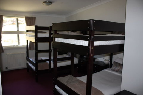 The Lions Lair - Sunshine Coast Guide 5