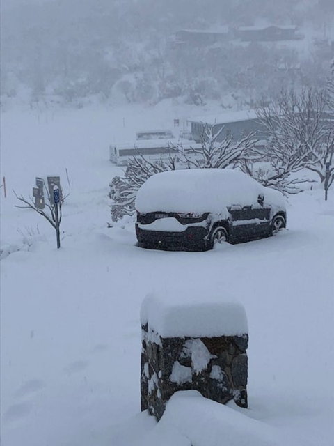 The Lions Lair - Sunshine Coast Guide 0