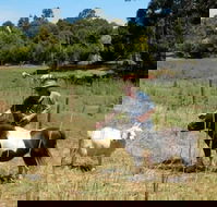 Country Cottages of Bridgetown - Sunshine Coast Guide