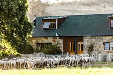 Daisy Bank Cottages - Sunshine Coast Guide 0