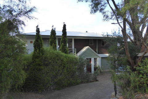 Sea Banksia - Sunshine Coast Guide 4