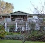 Sea Banksia - Sunshine Coast Guide