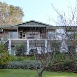 Sea Banksia - Sunshine Coast Guide 0