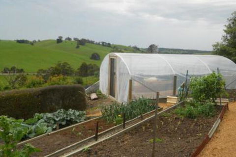 Emerald Hills Cottage - Sunshine Coast Guide 7