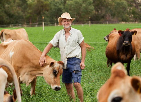 Dairymans Cottage - Sunshine Coast Guide 3