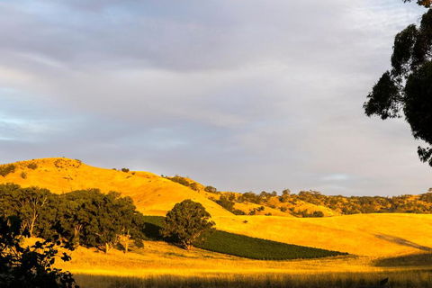 Dairymans Cottage - Sunshine Coast Guide 6