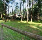 Fernglade on Menzies - Sunshine Coast Guide