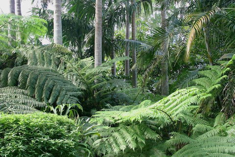 Amore Mt Tamborine - Sunshine Coast Guide 1