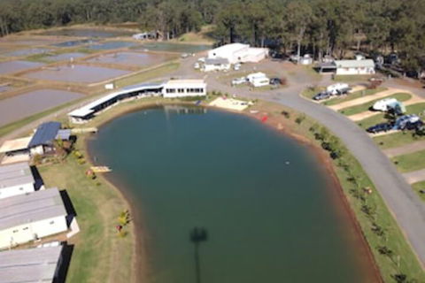 Australian Motor Homes Tourist Park - Sunshine Coast Guide 2