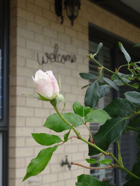 The Oxley Estate - Sunshine Coast Guide 2