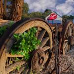 Allendale East SA Sunshine Coast Guide