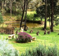 Countryside Connections Tranquil Studio - Sunshine Coast Guide