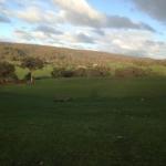 Drake Village ACT Sunshine Coast Guide