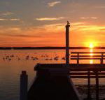 Bayview Boathouse - Sunshine Coast Guide