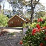 11 Barkala St. Dalmeny - Sunshine Coast Guide 0
