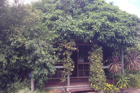 Ti-Tree Village - Sunshine Coast Guide 6