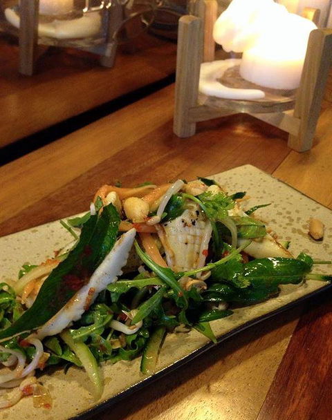 Amongst The Sticks - Sunshine Coast Guide 16