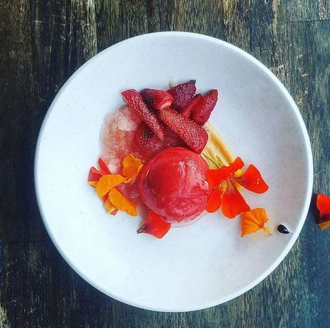 Andavanth Cafe And Restaurant - Sunshine Coast Guide 3