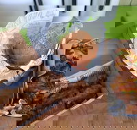 Hello Harry - Sunshine Coast Guide