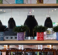 Collegians Balgownie - Sunshine Coast Guide