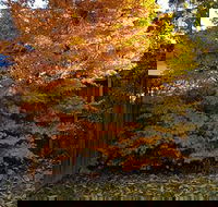 Stella Kitchen Chinese Take Away