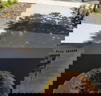 Queen of Tarts Toronto  Cessnock - Sunshine Coast Guide