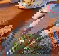 Painted Horse Cafe - Sunshine Coast Guide