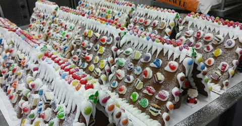 Scotty's Bakehouse - Sunshine Coast Guide 0