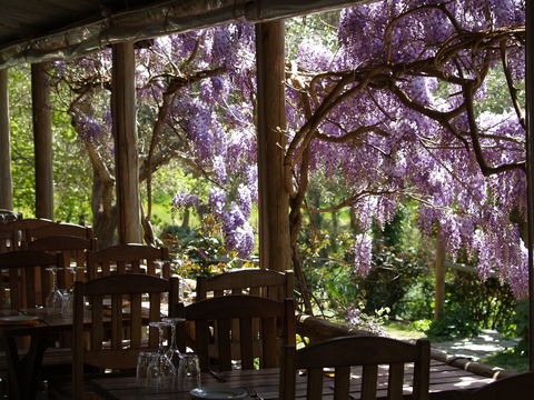 Skillogalee Winery & Restaurant - Sunshine Coast Guide 2