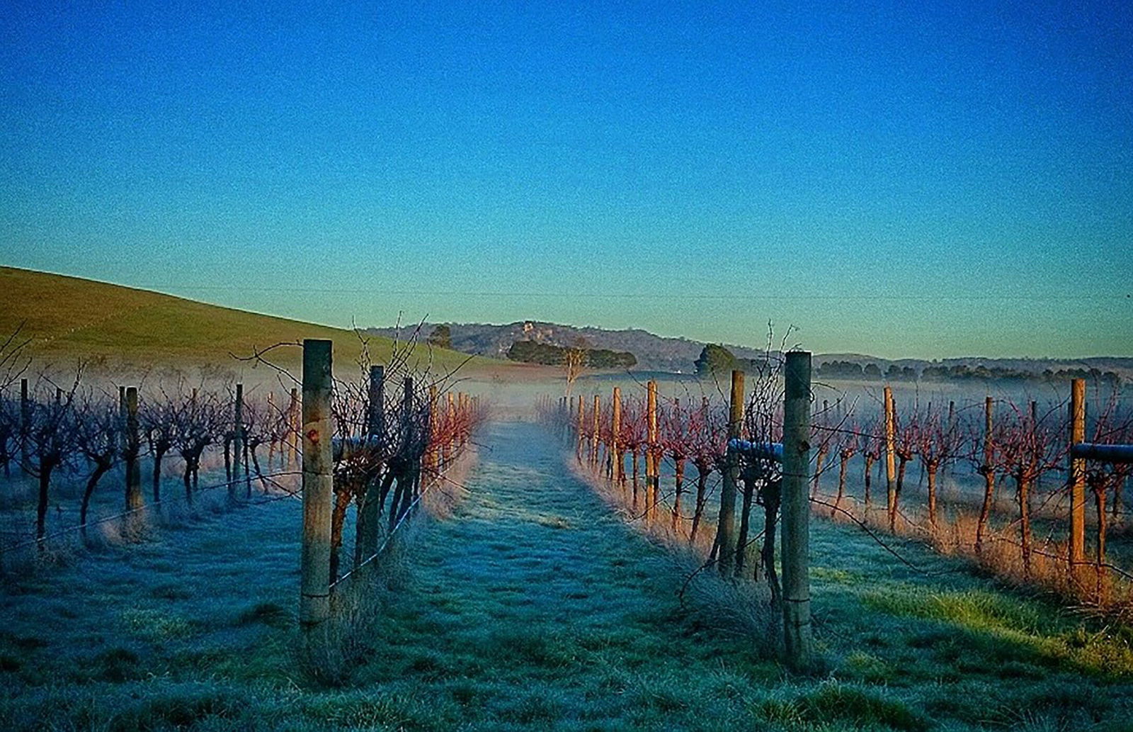 Allendale VIC Sunshine Coast Guide