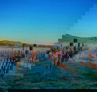 Eastern Peake Winery - Sunshine Coast Guide