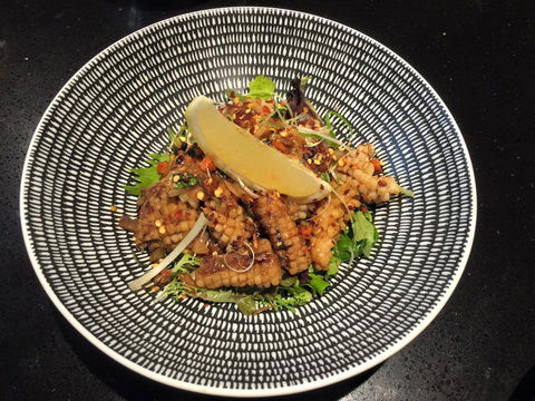 Saiko Teppanyaki - Sunshine Coast Guide 0