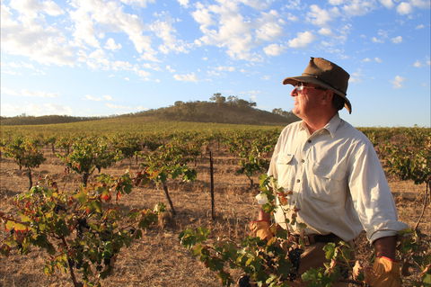 Sally's Paddock At Redbank Winery - Sunshine Coast Guide 2