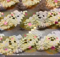 Cupcake Central - Maribyrnong - Sunshine Coast Guide