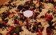 Oasis Pizza And Pasta - Torrensville - thumb 0