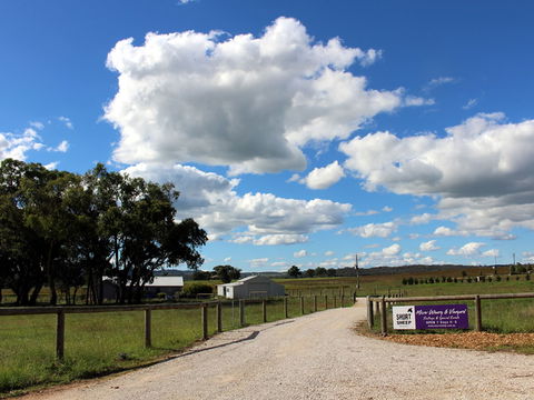 Short Sheep Micro-Winery - Sunshine Coast Guide 0