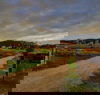 Baarmutha Wines - Sunshine Coast Guide